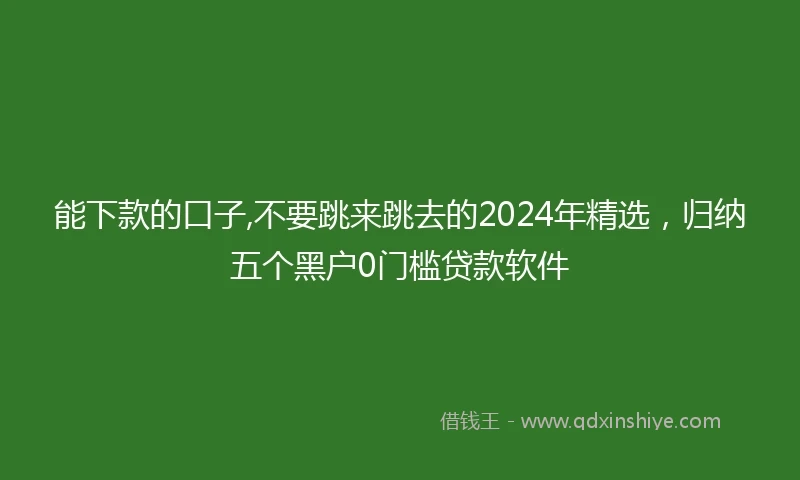 能下款的口子,不要跳来跳去的2024年精选，归纳五个黑户0门槛贷款软件