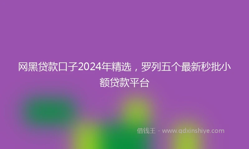 网黑贷款口子2024年精选，罗列五个最新秒批小额贷款平台