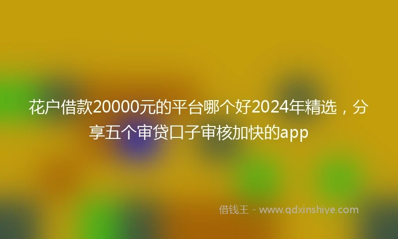 花户借款20000元的平台哪个好2024年精选，分享五个审贷口子审核加快的app