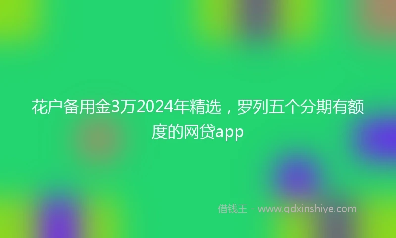 花户备用金3万2024年精选，罗列五个分期有额度的网贷app