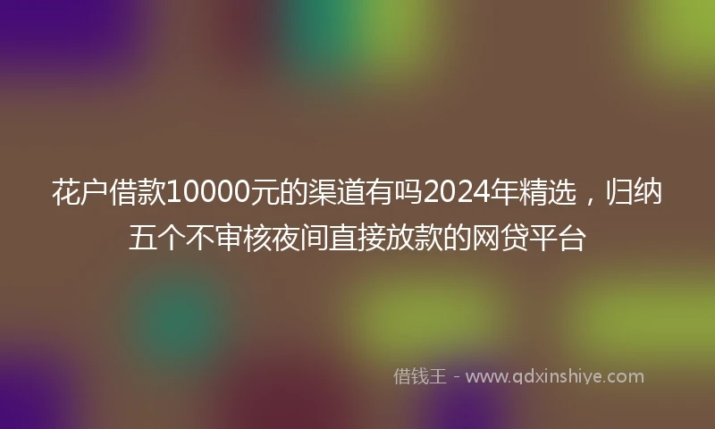花户借款10000元的渠道有吗2024年精选，归纳五个不审核夜间直接放款的网贷平台