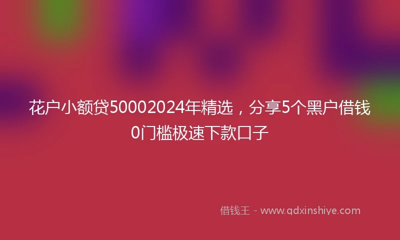 花户小额贷50002024年精选，分享5个黑户借钱0门槛极速下款口子