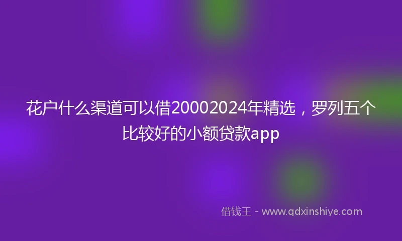 花户什么渠道可以借20002024年精选，罗列五个比较好的小额贷款app