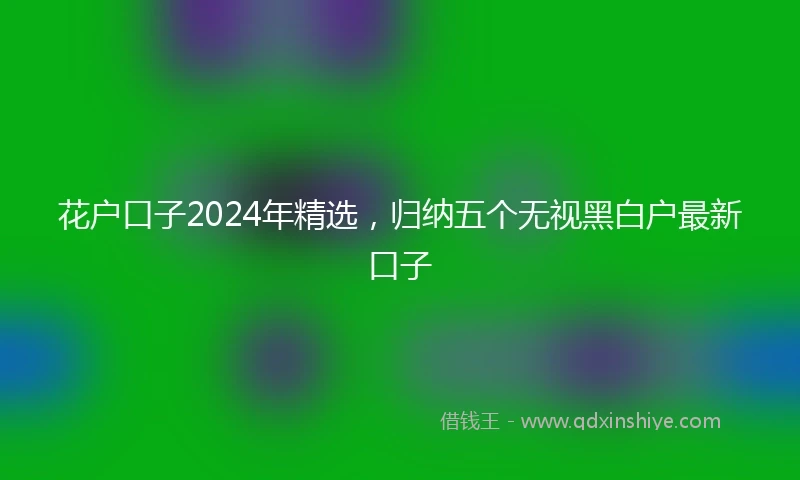 花户口子2024年精选，归纳五个无视黑白户最新口子