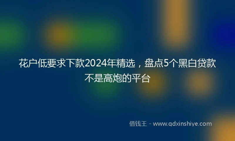 花户低要求下款2024年精选，盘点5个黑白贷款不是高炮的平台