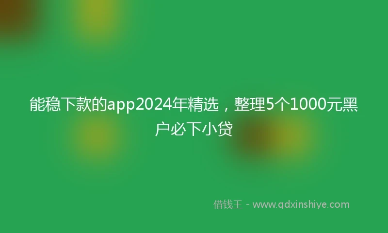 能稳下款的app2024年精选，整理5个1000元黑户必下小贷