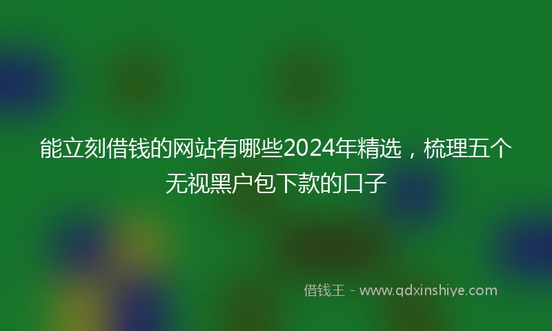 能立刻借钱的网站有哪些2024年精选，梳理五个无视黑户包下款的口子