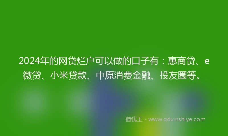 2024年的网贷烂户可以做的口子有：惠商贷、e微贷、小米贷款、中原消费金融、投友圈等。