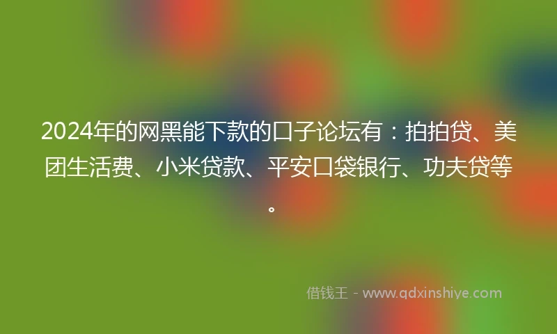 2024年的网黑能下款的口子论坛有：拍拍贷、美团生活费、小米贷款、平安口袋银行、功夫贷等。