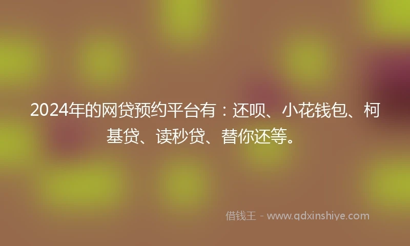 2024年的网贷预约平台有：还呗、小花钱包、柯基贷、读秒贷、替你还等。