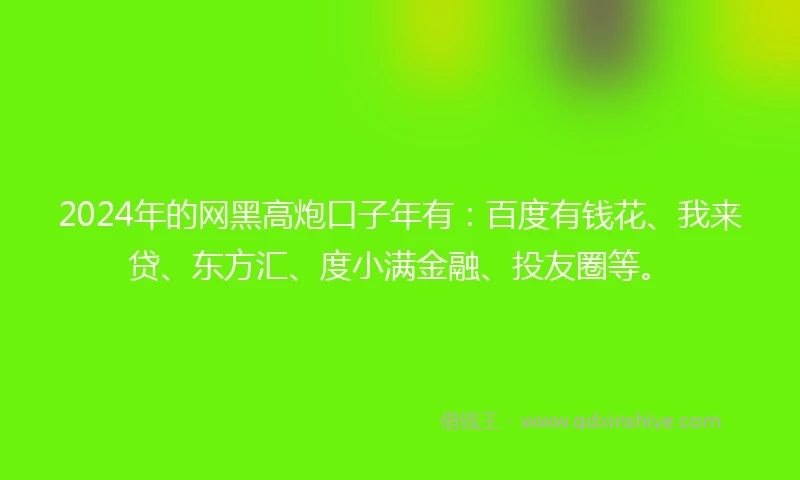 2024年的网黑高炮口子年有：百度有钱花、我来贷、东方汇、度小满金融、投友圈等。