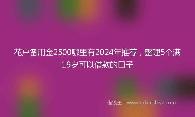 花户备用金2500哪里有2024年推荐，整理5个满19岁可以借款的口子
