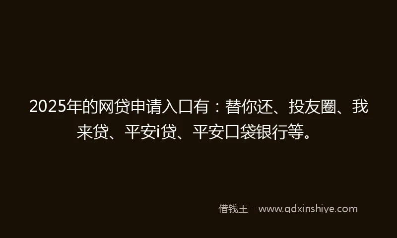 2025年的网贷申请入口有：替你还、投友圈、我来贷、平安i贷、平安口袋银行等。