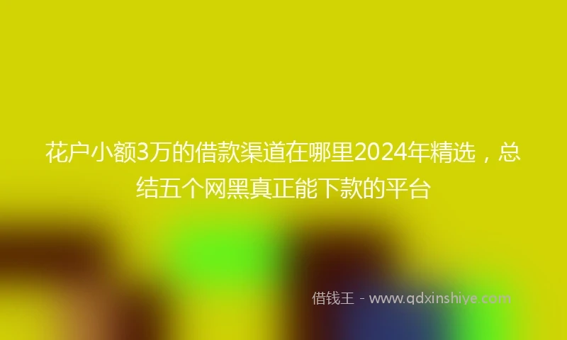花户小额3万的借款渠道在哪里2024年精选，总结五个网黑真正能下款的平台