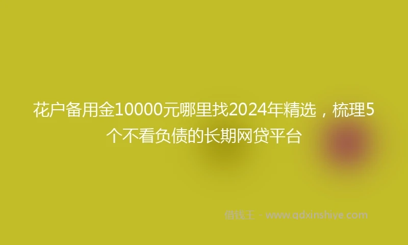 花户备用金10000元哪里找2024年精选，梳理5个不看负债的长期网贷平台
