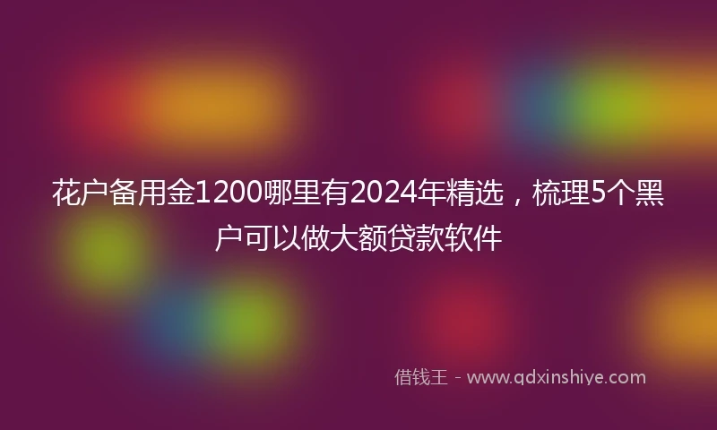 花户备用金1200哪里有2024年精选，梳理5个黑户可以做大额贷款软件