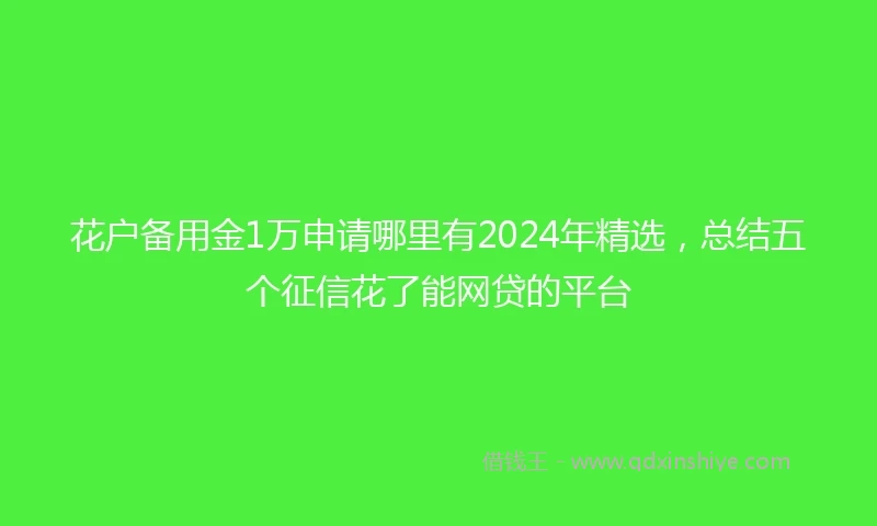 花户备用金1万申请哪里有2024年精选，总结五个征信花了能网贷的平台