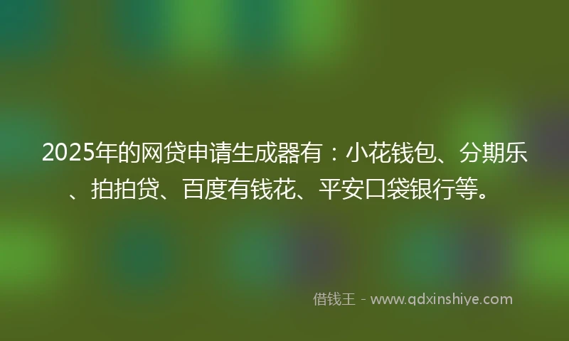 2025年的网贷申请生成器有：小花钱包、分期乐、拍拍贷、百度有钱花、平安口袋银行等。