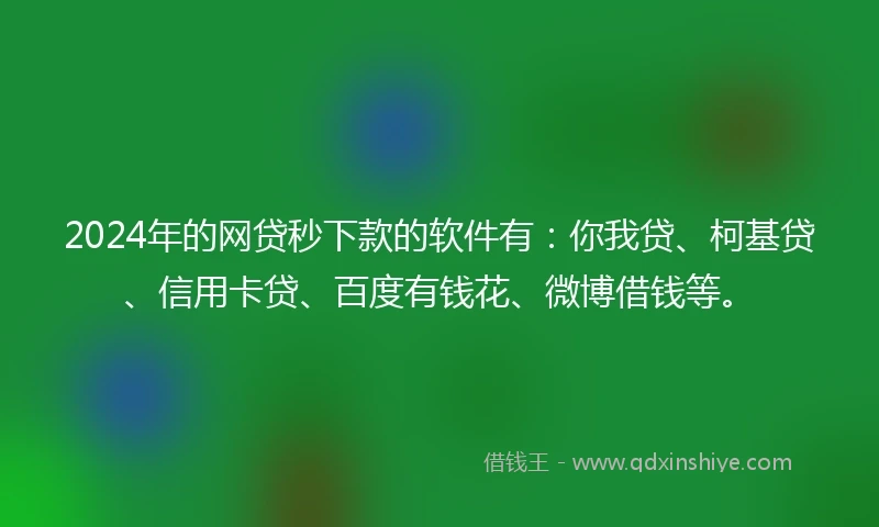 2024年的网贷秒下款的软件有：你我贷、柯基贷、信用卡贷、百度有钱花、微博借钱等。
