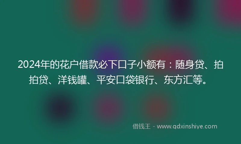 2024年的花户借款必下口子小额有：随身贷、拍拍贷、洋钱罐、平安口袋银行、东方汇等。