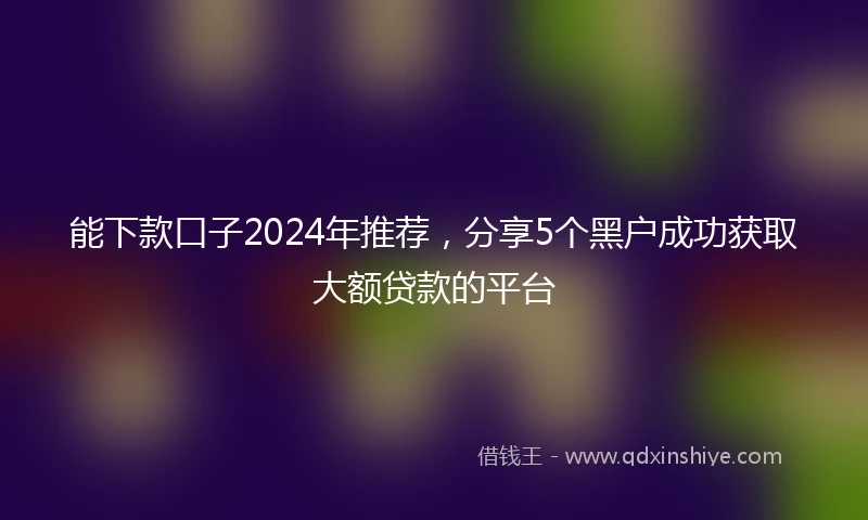 能下款口子2024年推荐，分享5个黑户成功获取大额贷款的平台
