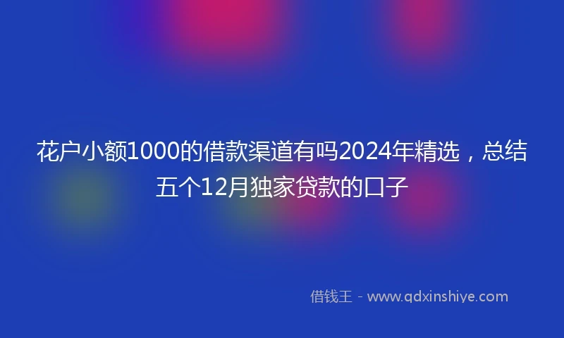 花户小额1000的借款渠道有吗2024年精选，总结五个12月独家贷款的口子