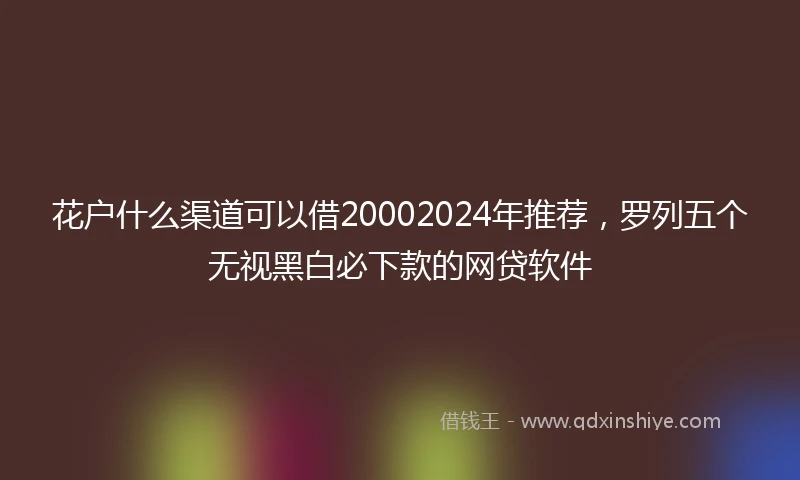 花户什么渠道可以借20002024年推荐，罗列五个无视黑白必下款的网贷软件