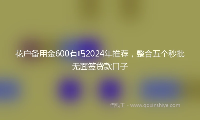 花户备用金600有吗2024年推荐，整合五个秒批无面签贷款口子