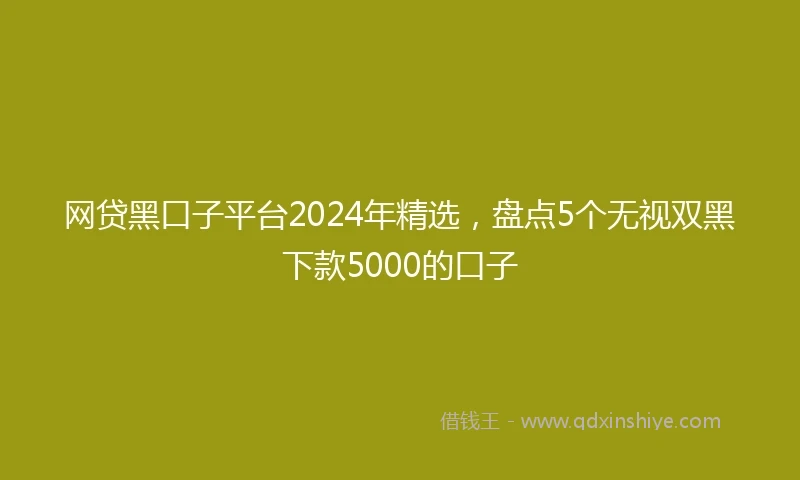 网贷黑口子平台2024年精选，盘点5个无视双黑下款5000的口子