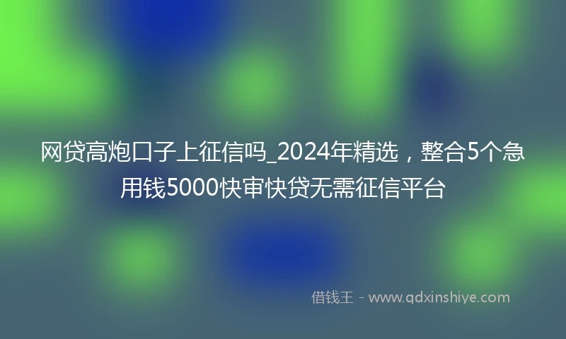 网贷高炮口子上征信吗_2024年精选，整合5个急用钱5000快审快贷无需征信平台