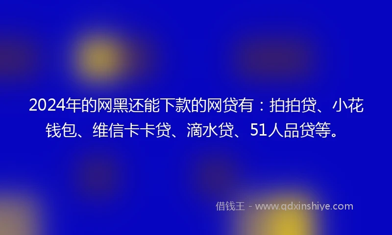 2024年的网黑还能下款的网贷有：拍拍贷、小花钱包、维信卡卡贷、滴水贷、51人品贷等。