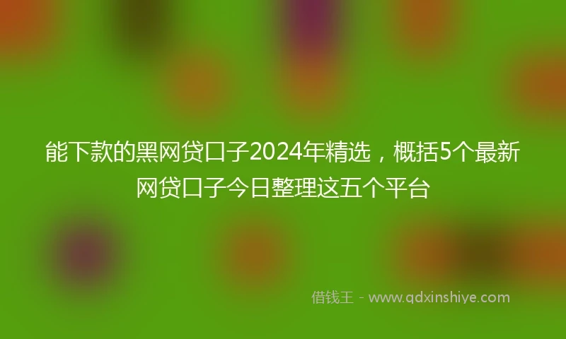 能下款的黑网贷口子2024年精选,概括5个最新网贷口子今日整理这五个平台