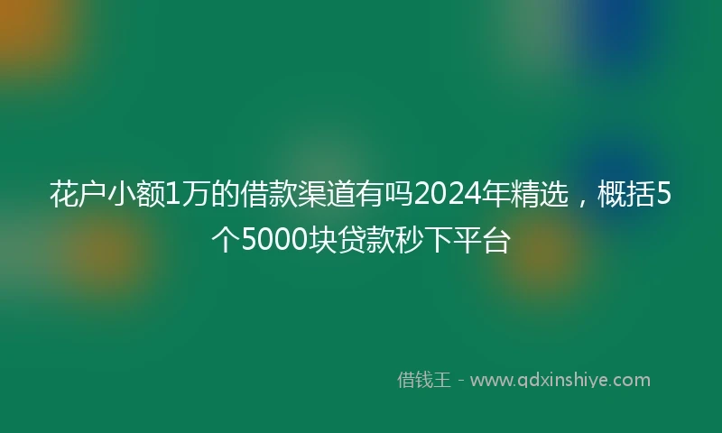 花户小额1万的借款渠道有吗2024年精选，概括5个5000块贷款秒下平台