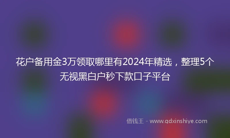 花户备用金3万领取哪里有2024年精选,整理5个无视黑白户秒下款口子平台