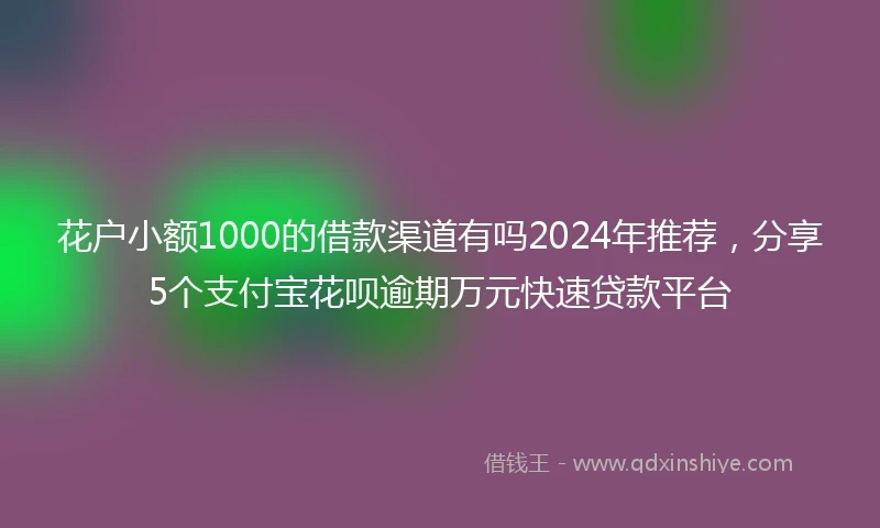 花户小额1000的借款渠道有吗2024年推荐,分享5个支付宝花呗逾期万元快速贷款平台