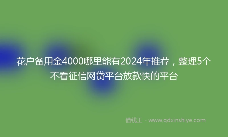 花户备用金4000哪里能有2024年推荐，整理5个不看征信网贷平台放款快的平台