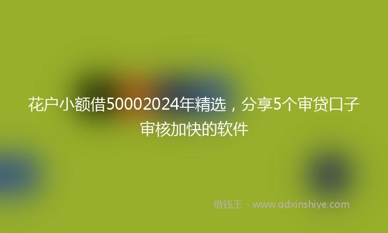 花户小额借50002024年精选，分享5个审贷口子审核加快的软件