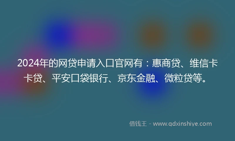 2024年的网贷申请入口官网有：惠商贷、维信卡卡贷、平安口袋银行、京东金融、微粒贷等。