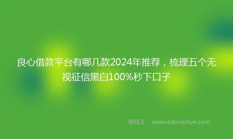 良心借款平台有哪几款2024年推荐，梳理五个无视征信黑白100%秒下口子