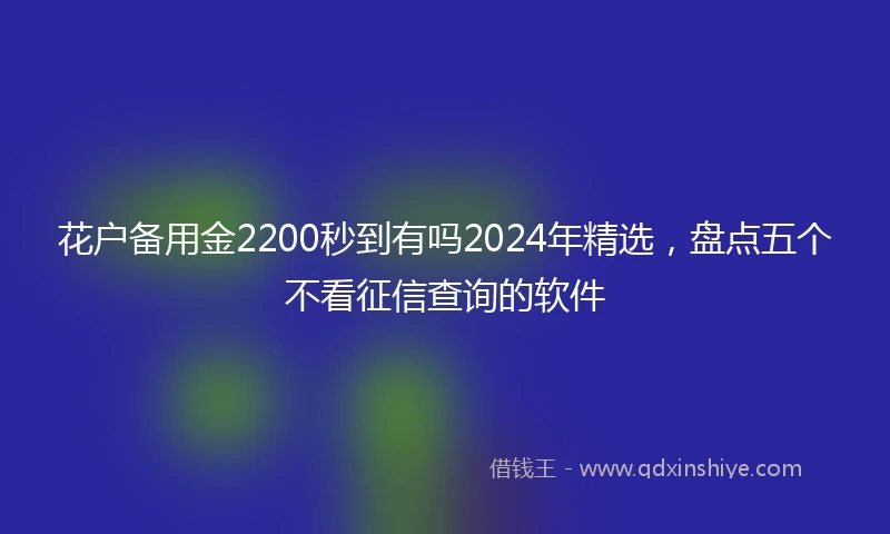 花户备用金2200秒到有吗2024年精选，盘点五个不看征信查询的软件