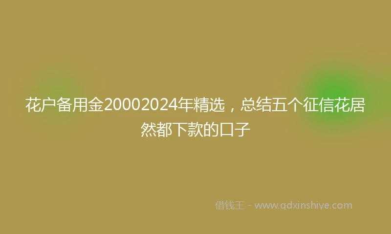 花户备用金20002024年精选，总结五个征信花居然都下款的口子