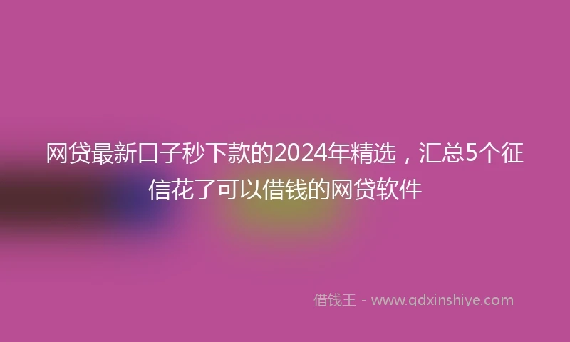 网贷最新口子秒下款的2024年精选，汇总5个征信花了可以借钱的网贷软件