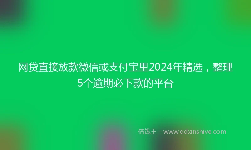 网贷直接放款微信或支付宝里2024年精选，整理5个逾期必下款的平台