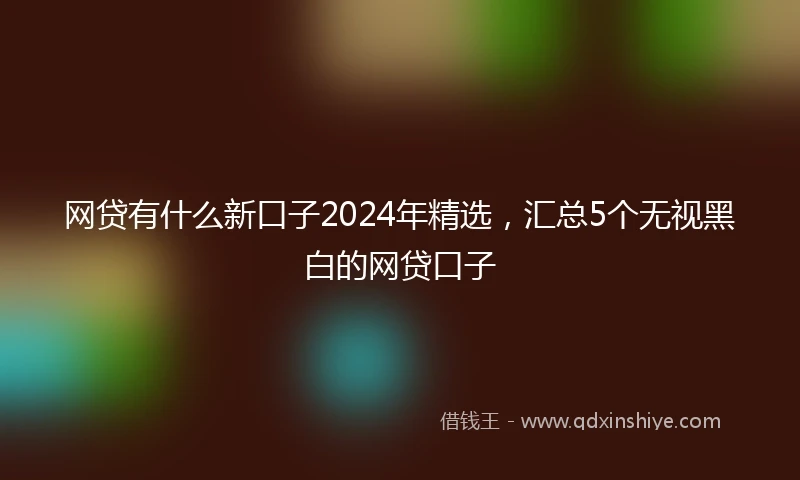 网贷有什么新口子2024年精选，汇总5个无视黑白的网贷口子