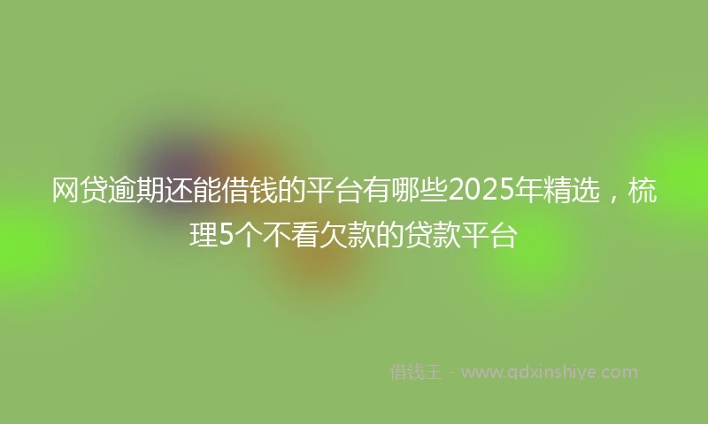 网贷逾期还能借钱的平台有哪些2025年精选,梳理5个不看欠款的贷款平台
