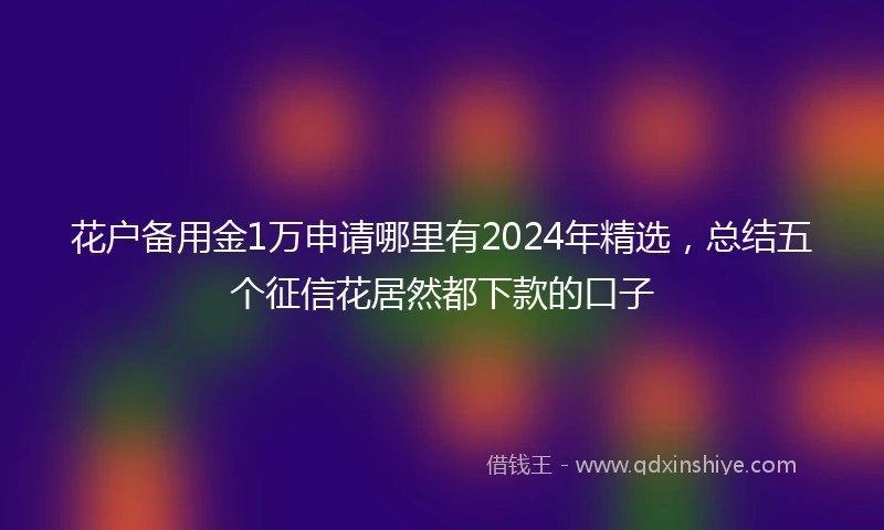 花户备用金1万申请哪里有2024年精选，总结五个征信花居然都下款的口子