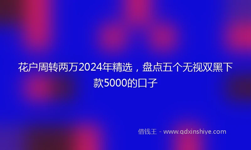 花户周转两万2024年精选，盘点五个无视双黑下款5000的口子