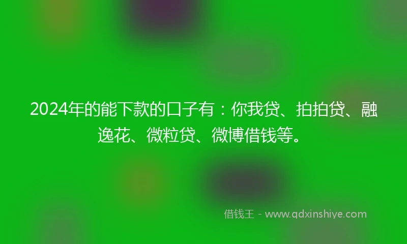 2024年的能下款的口子有：你我贷、拍拍贷、融逸花、微粒贷、微博借钱等。