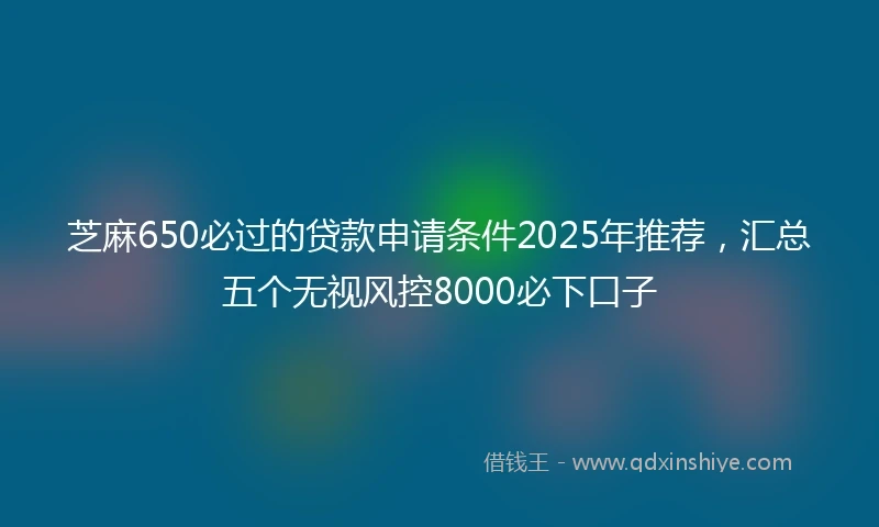 芝麻650必过的贷款申请条件2025年推荐，汇总五个无视风控8000必下口子