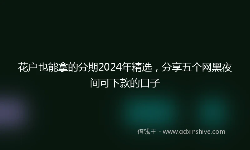 花户也能拿的分期2024年精选，分享五个网黑夜间可下款的口子